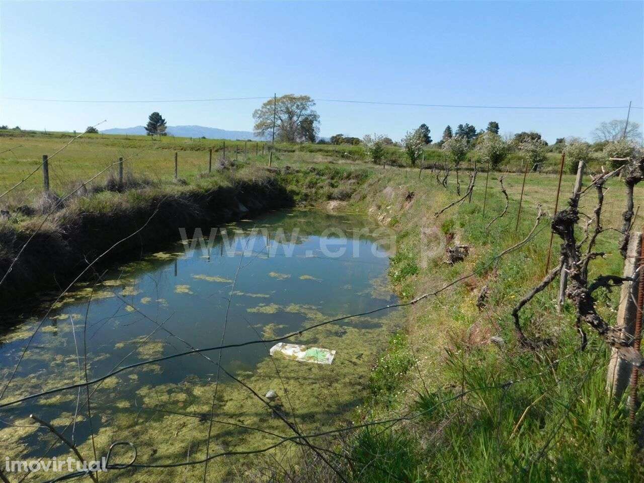 Quintinha / Fundão, Orca - Grande imagem: 2/11