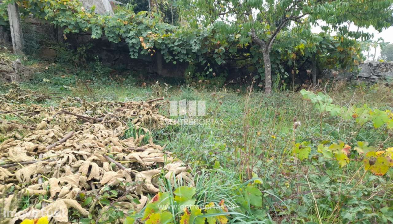 Venda Terreno, Várzea do Douro, Marco de Canaveses - Grande imagem: 2/36