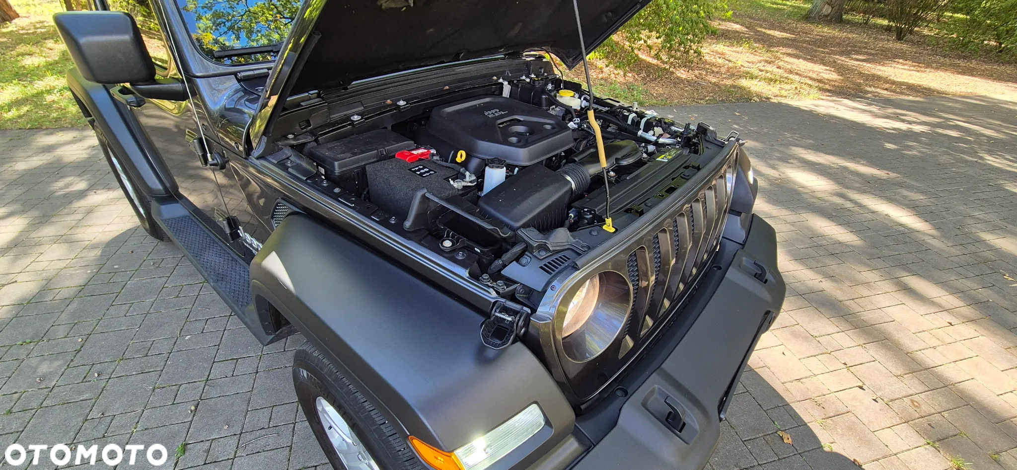 Jeep Wrangler - 17