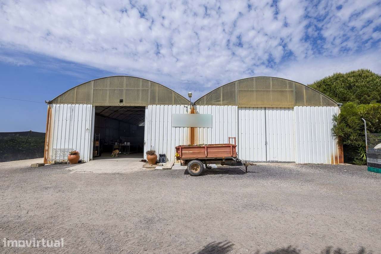 EMPRESA AGRÍCOLA PARA VENDA NO PARQUE NATURAL - Grande imagem: 4/17
