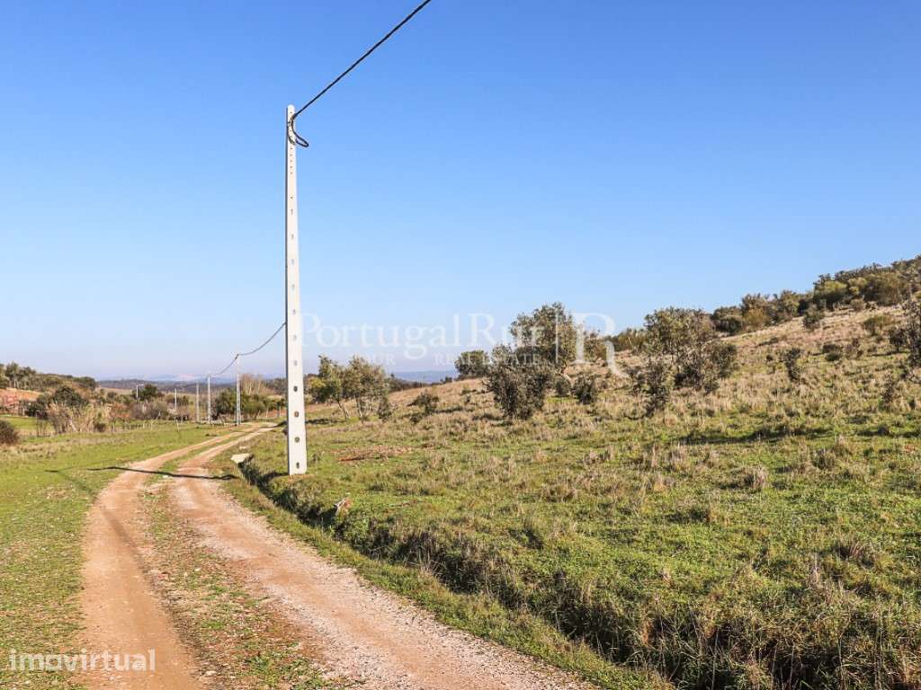 Terreno com cerca de 1,3Ha localizado próximo de Terena, Alandroal - Grande imagem: 4/14