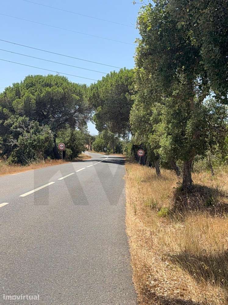 Herdade de 15,7 ha com Vista Mar e Potencial de Expansão | Santiago do - Grande imagem: 3/8