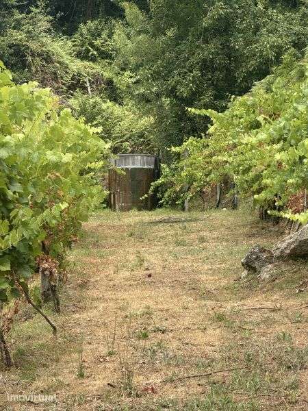 Terreno agricola - Grande imagem: 2/5