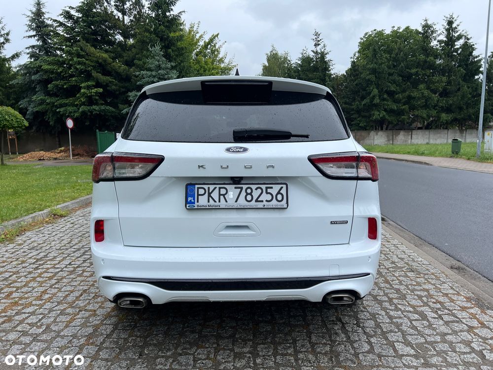 Ford Kuga 2.5 Duratec FHEV ST-LINE - 7