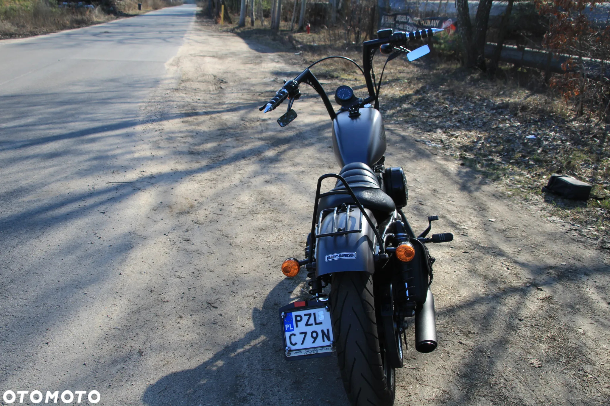 Harley-Davidson Sportster Iron 883 - 5