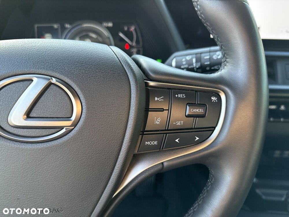 Lexus UX 250h GPF F Sport Design 2WD - 20