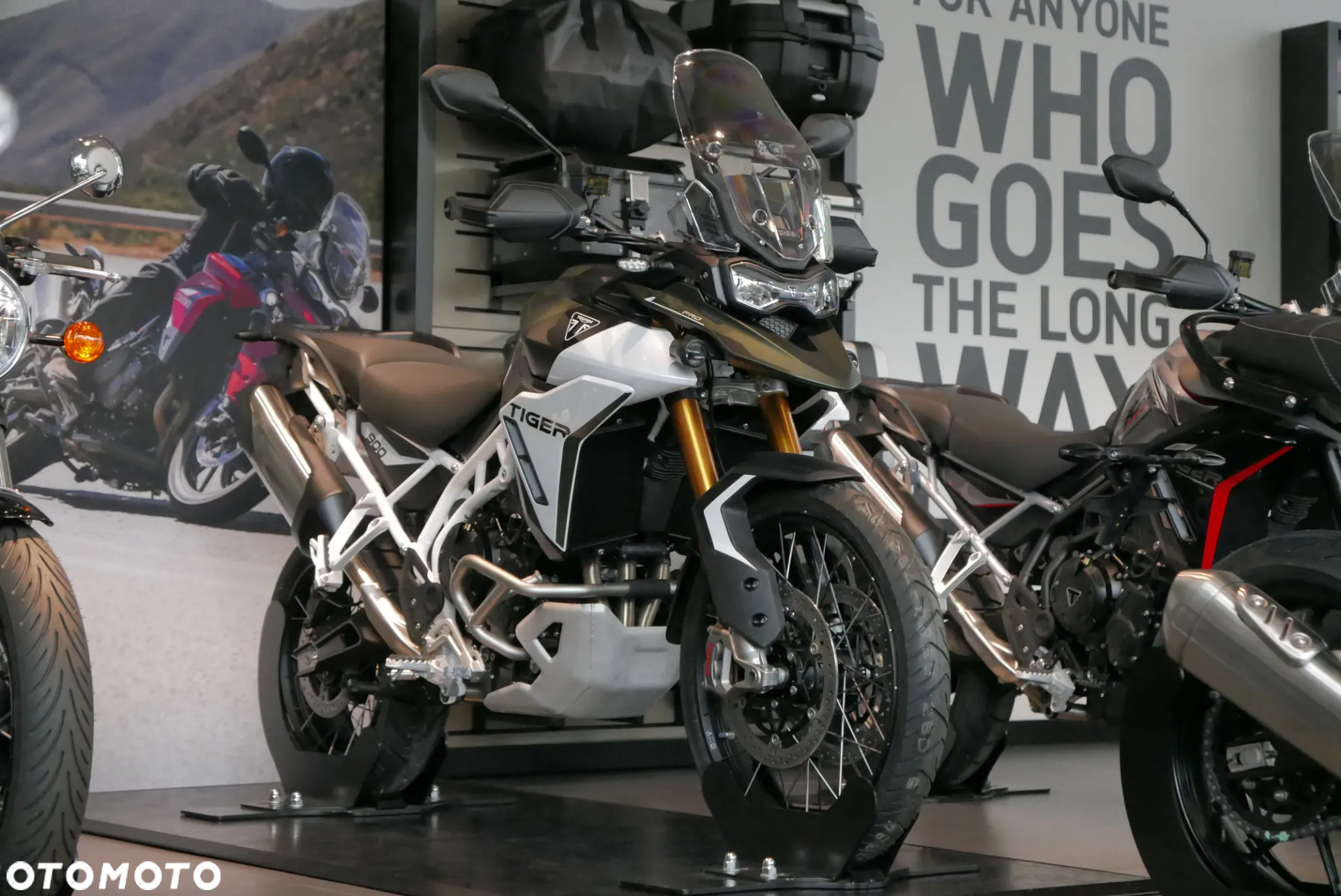 Triumph Tiger - 2