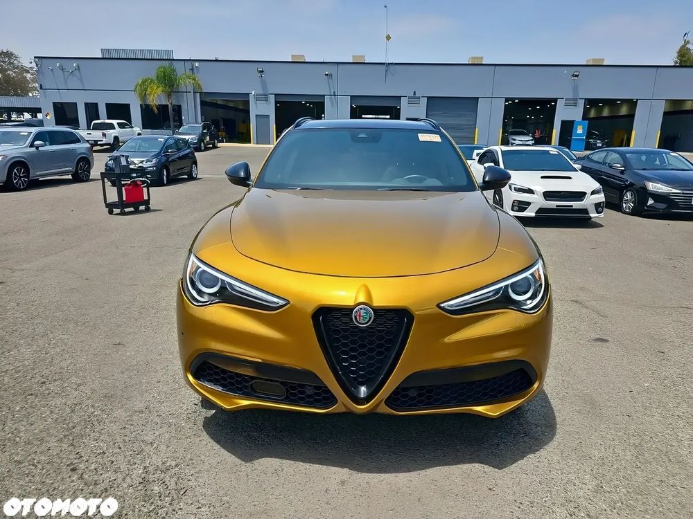 Alfa Romeo Stelvio 2.0 Turbo 16V AT8-Q4 Veloce - 2