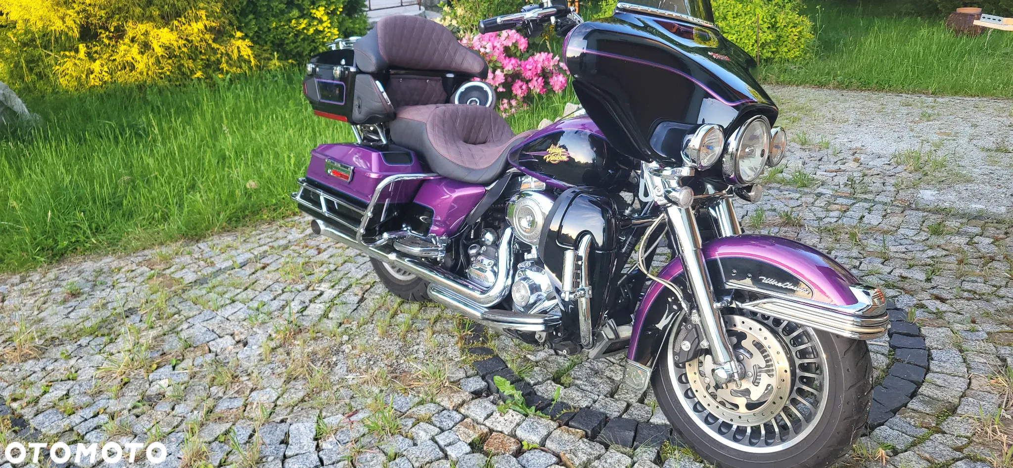 Harley-Davidson Electra - 11