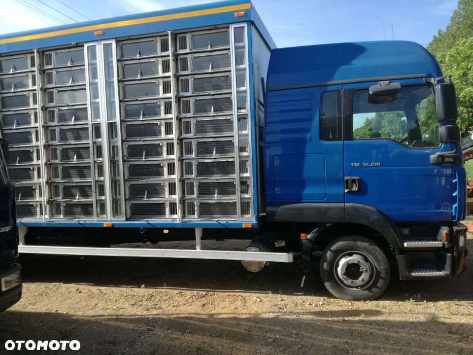 PIASTA PRZÓD TYŁ MAN TGA TGX TGL TGS - 3