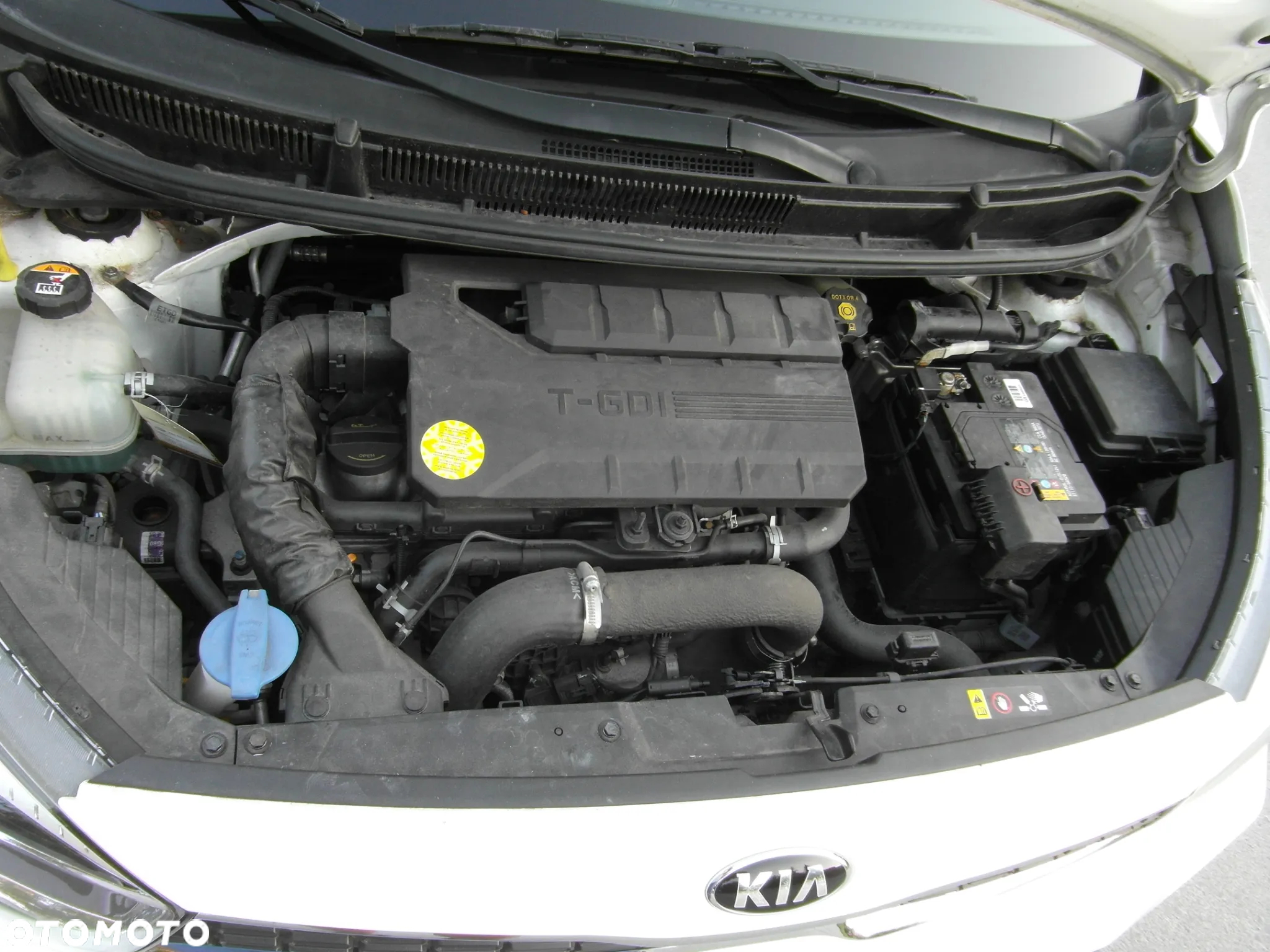 Kia Picanto 1.0 T-GDI OPF GT Line - 36