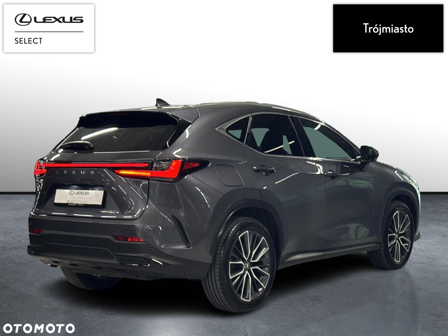 Lexus NX - 6