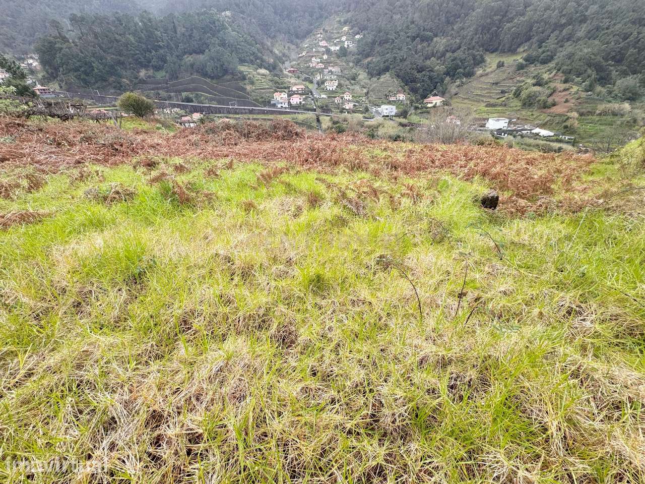 Construa a Sua Casa em São Vicente – Natureza, Tranquilidade e Potenci - Grande imagem: 4/8