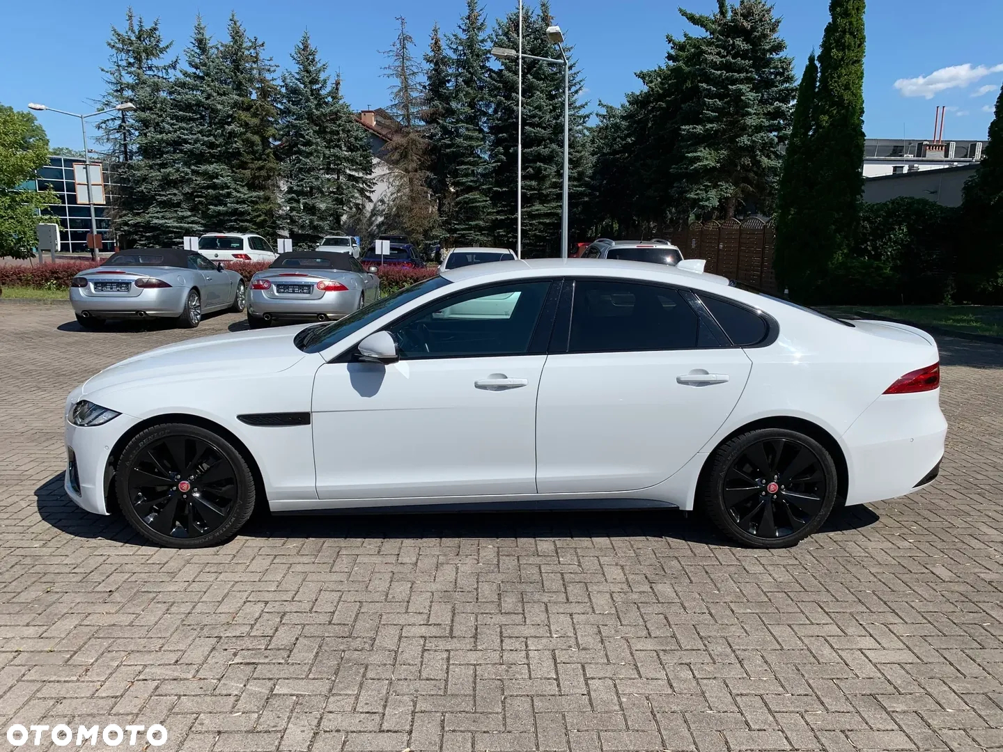 Jaguar XF 2.0 P250 R-Dynamic SE - 5