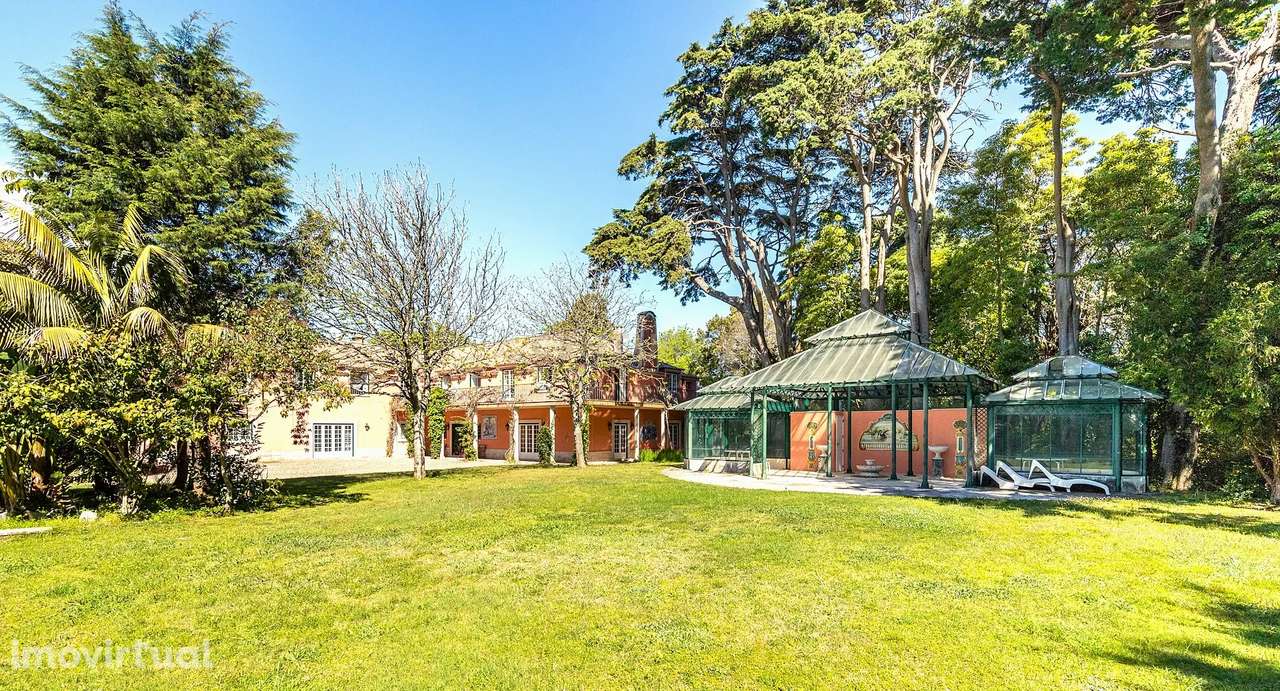 PALÁCIO - Quinta e Casa Rústica em S. Maria e S. Miguel, S. Martinho, - Grande imagem: 2/16