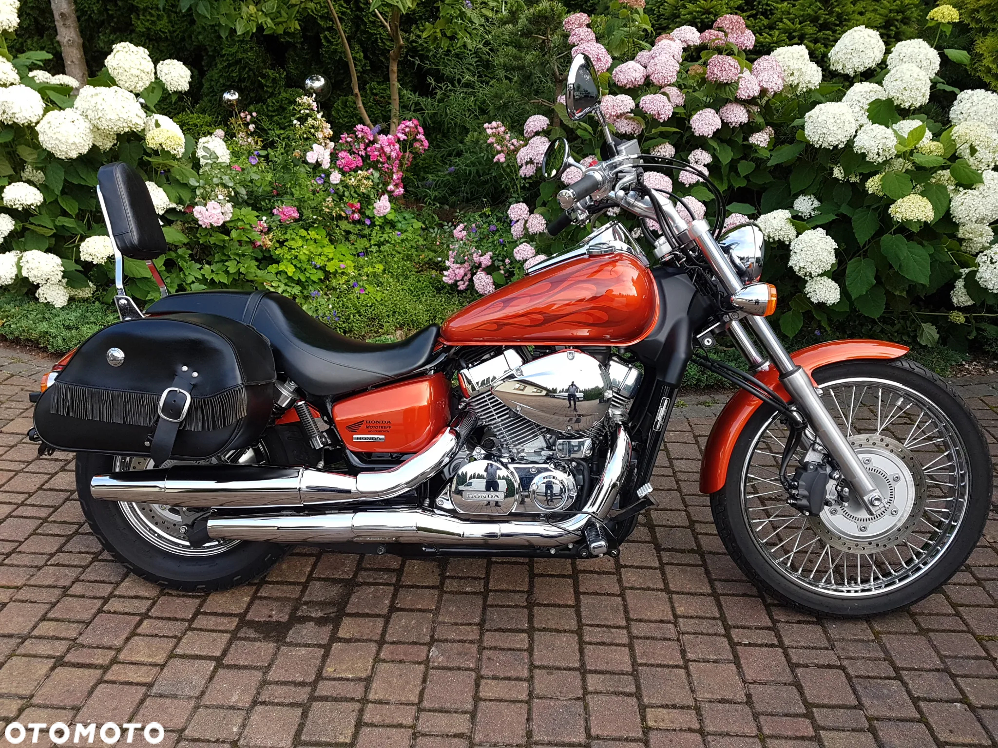 Honda Shadow - 4