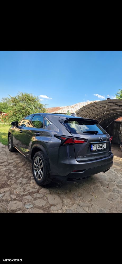 Lexus Seria Nx 2017 photo 5