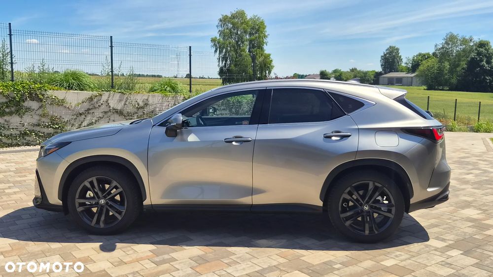 Lexus NX - 7