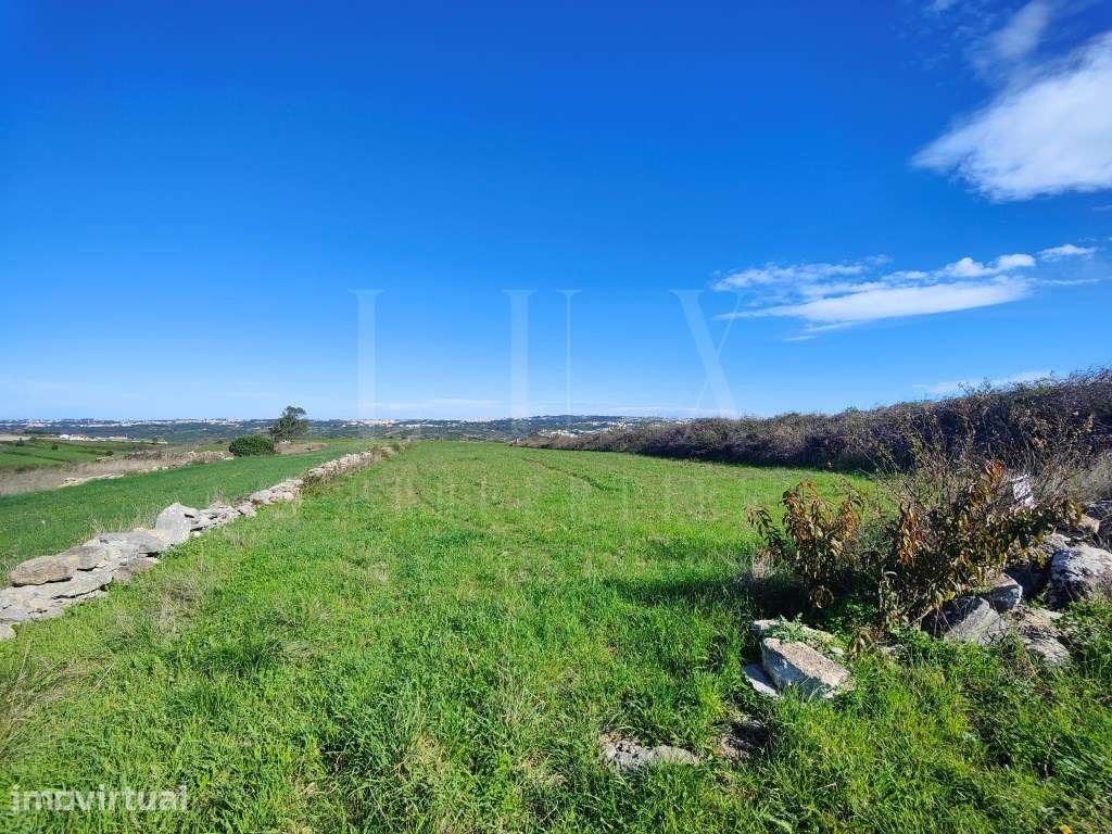TERRENO COM 5.160m2 e FRENTE DE ESTRADA EM SINTRA - Grande imagem: 4/22