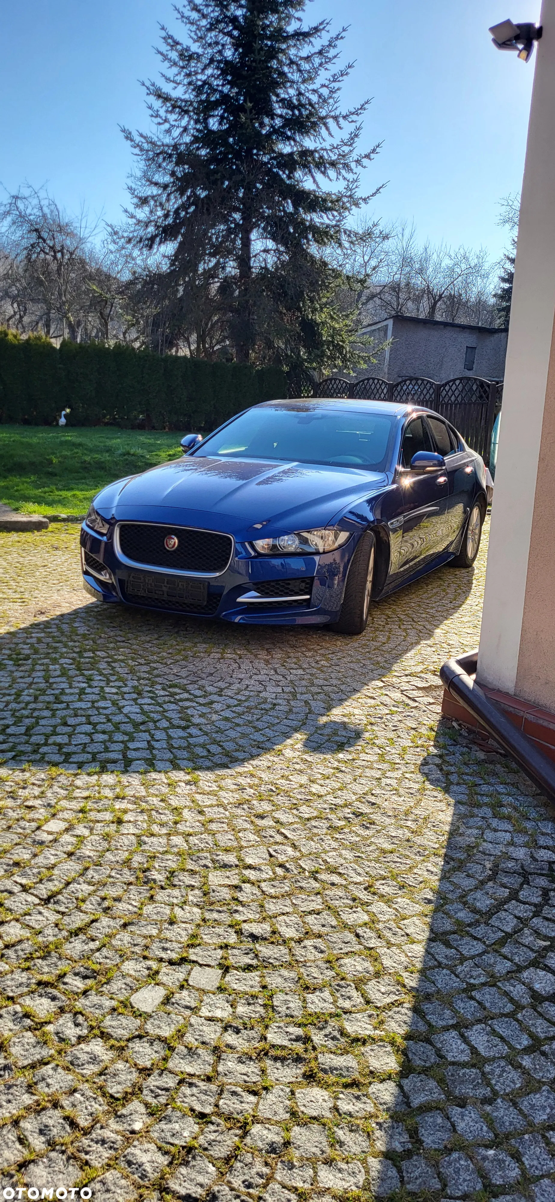 Jaguar XE - 2