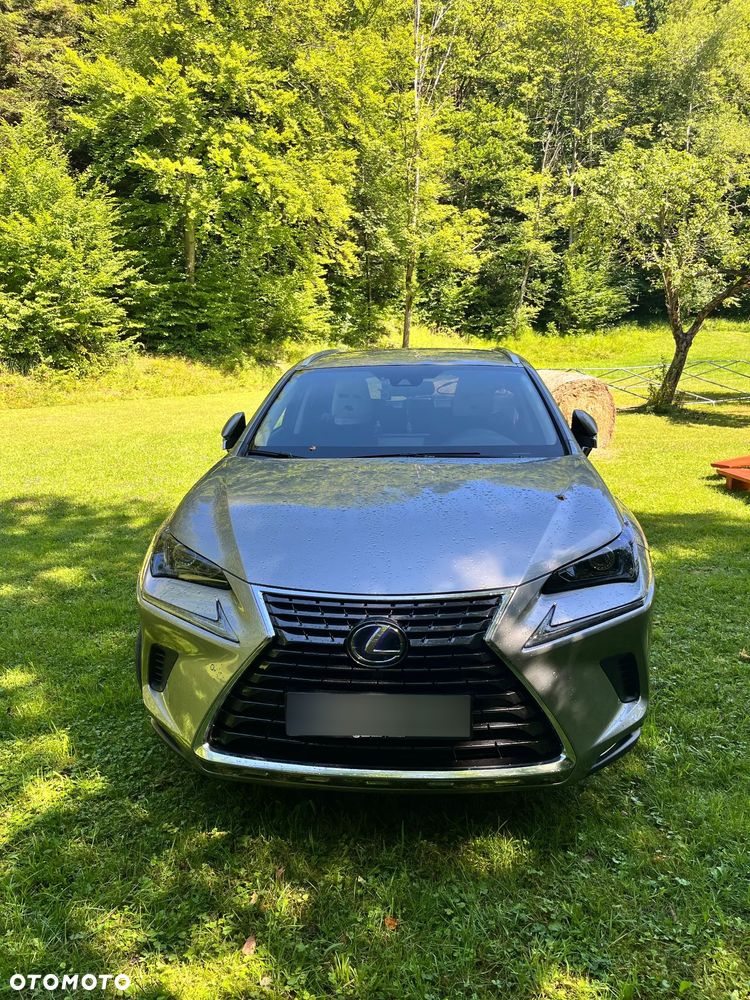 Lexus NX 300h Elegance AWD - 36