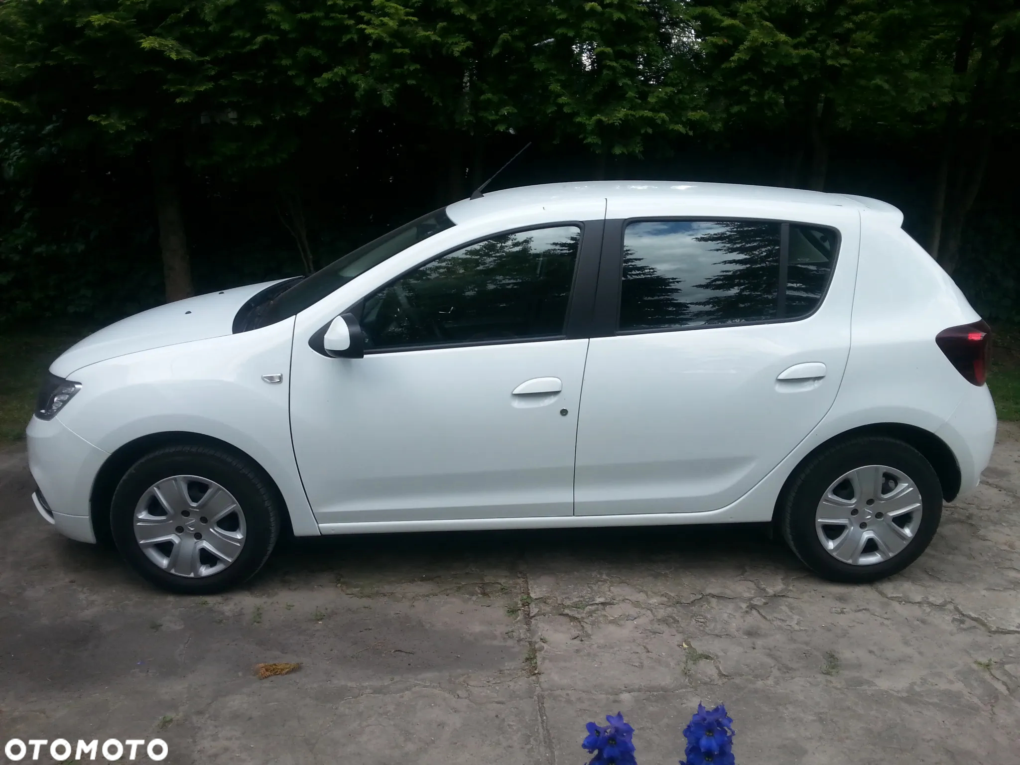 Dacia Sandero 1.0 TCe Laureate S&S - 3