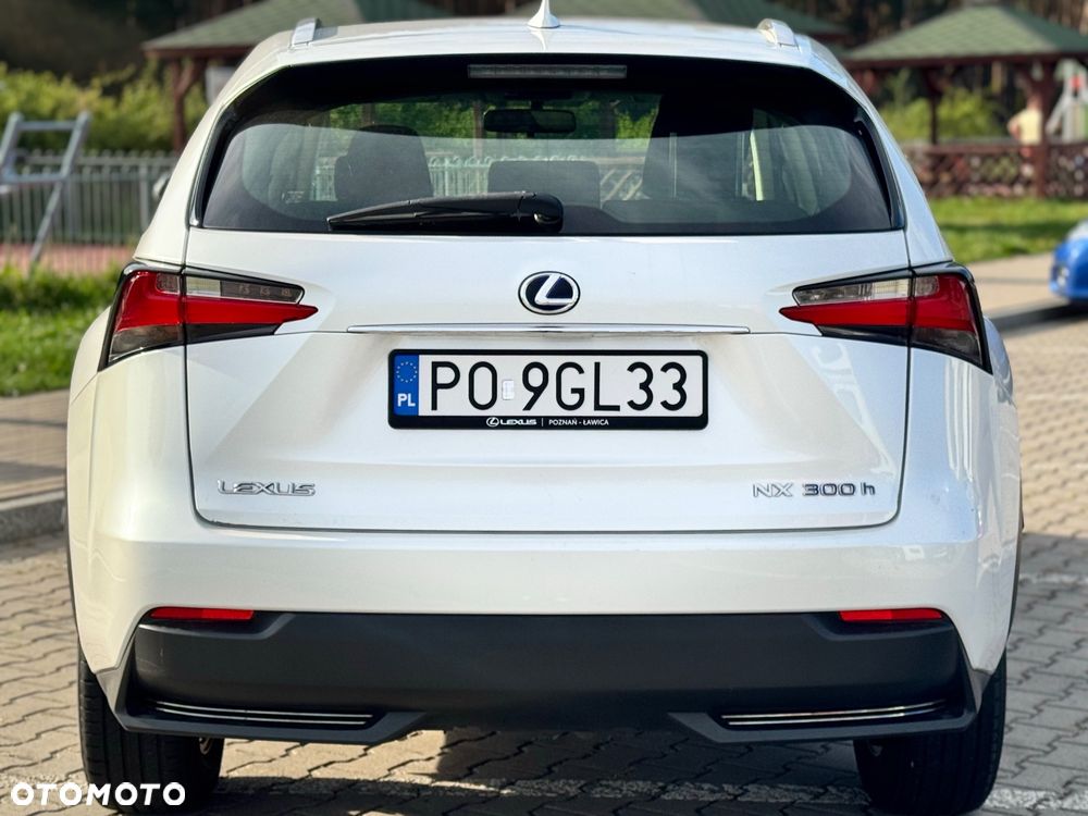 Lexus NX 300h Elite 2WD - 7