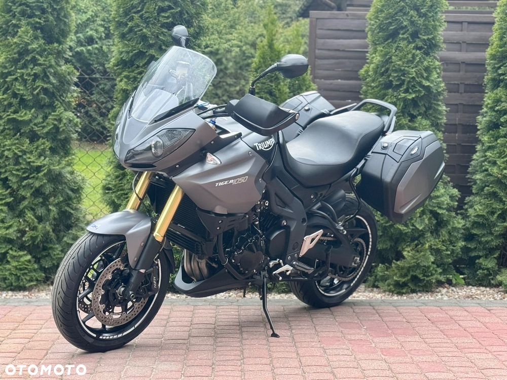 Triumph Tiger - 5