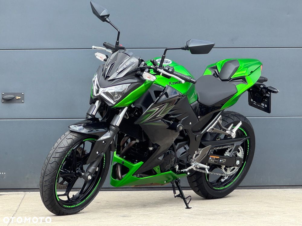 Kawasaki Z - 20
