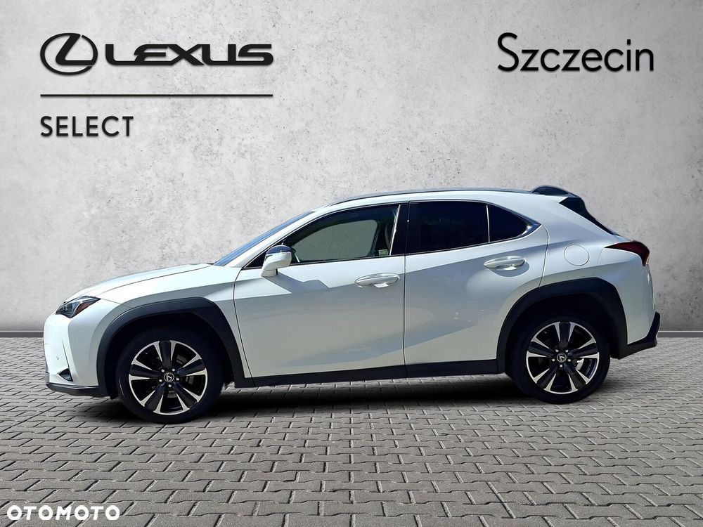 Lexus UX 250h GPF Business 2WD - 2