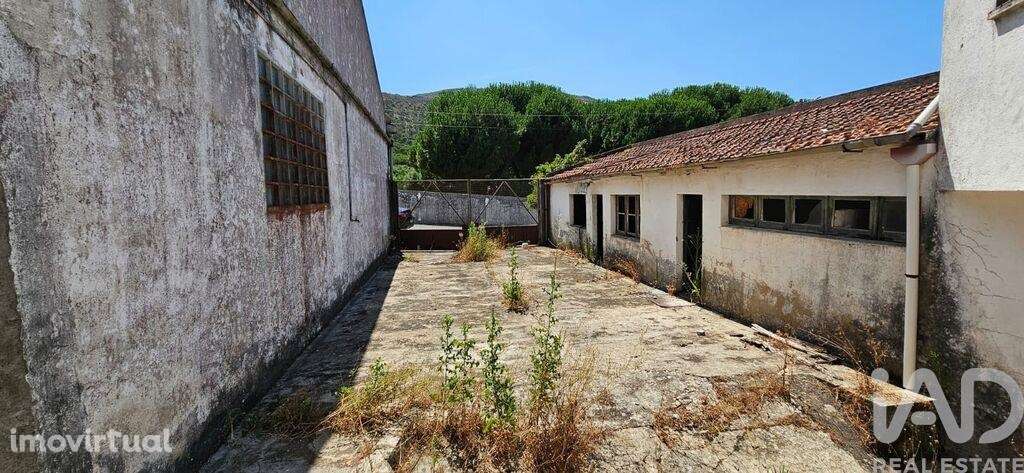 Loja / Estabelecimento Comercial em Minde de 743,00 m2 - Grande imagem: 5/18