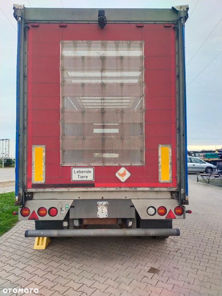 Ackermann Przyczepa do transportu drobiu cała ocynkowana firanka - 4