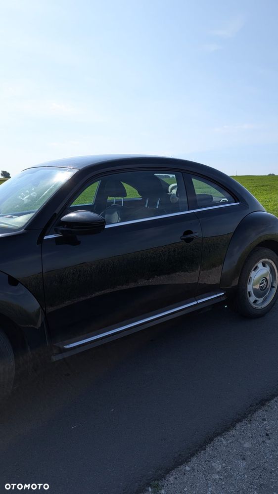 Volkswagen Beetle - 3