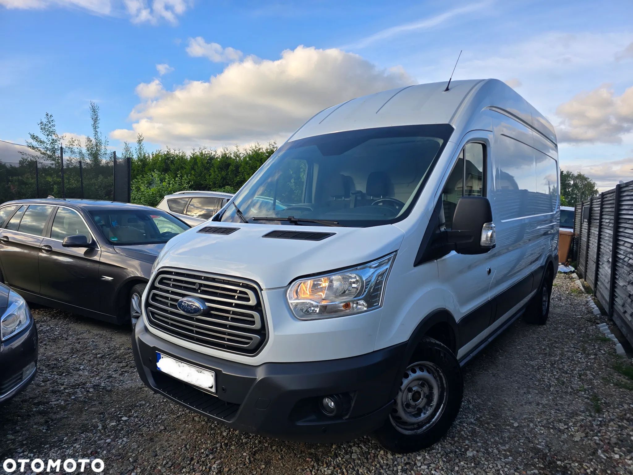 Ford Transit - 1