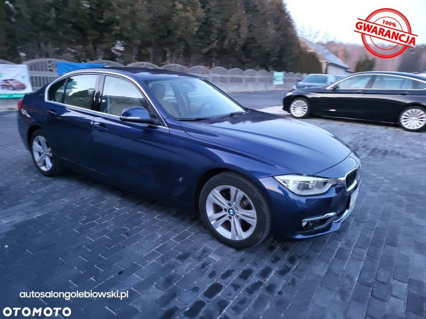 BMW Seria 3 - 17