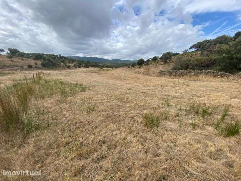 Quinta - Grande imagem: 5/16