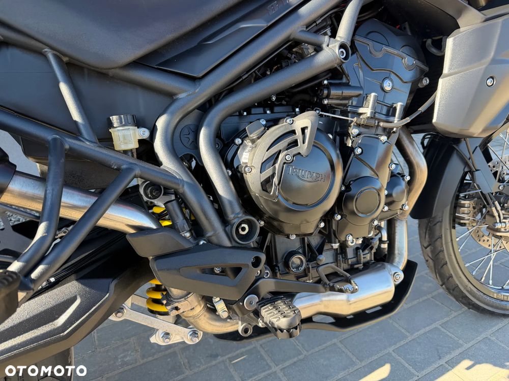 Triumph Tiger - 25