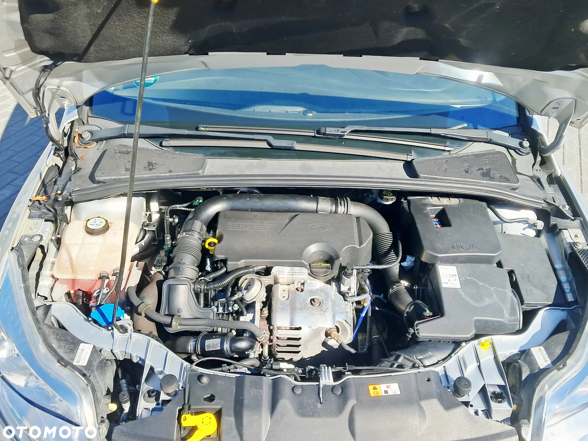 Ford Focus Turnier 1.0 EcoBoost Start-Stopp-System Ambiente - 21