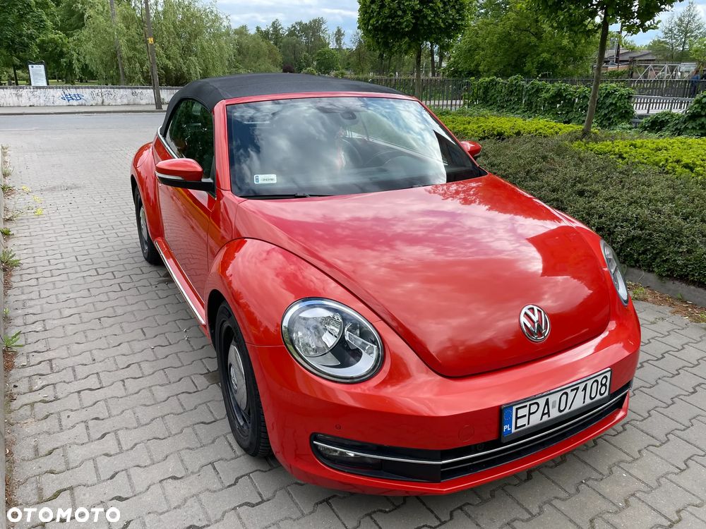 Volkswagen Beetle - 16