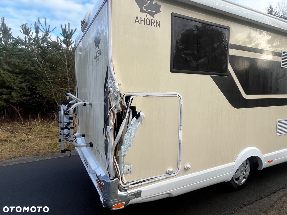 Renault MASTER AHORN CANADA AE 2024r - 28