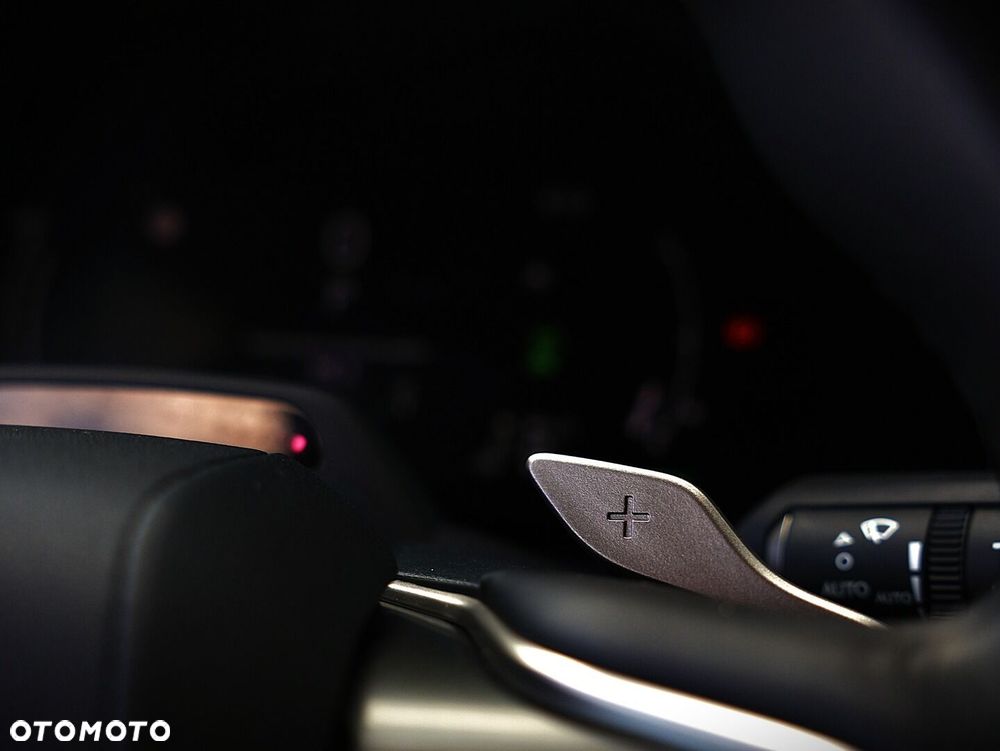 Lexus RX 450h+ F Sport Design - 30
