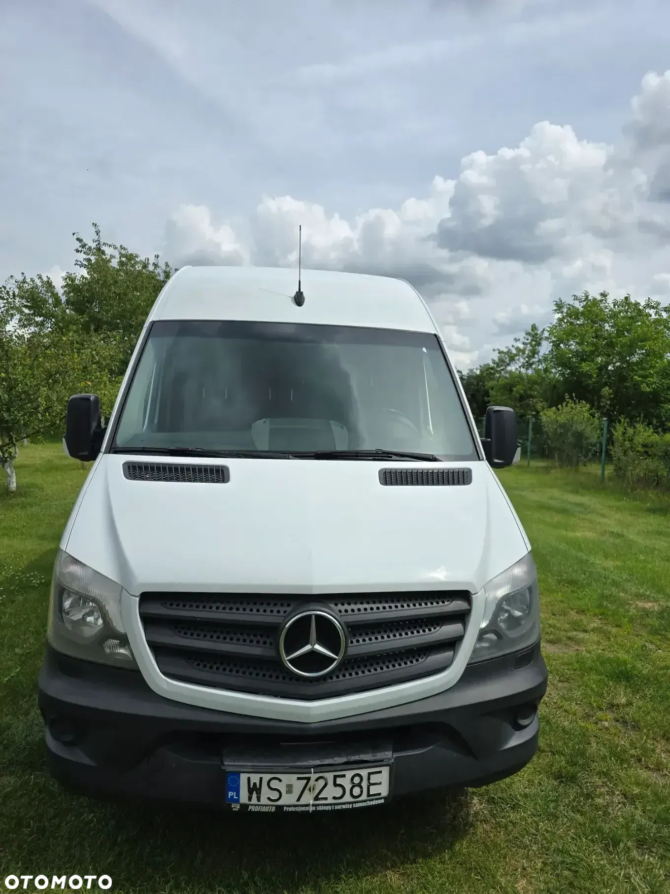 Mercedes-Benz SPRINTER - 2