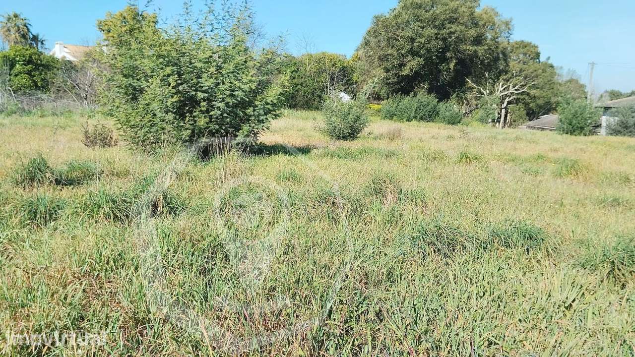 TERRENO OIA - Grande imagem: 2/2