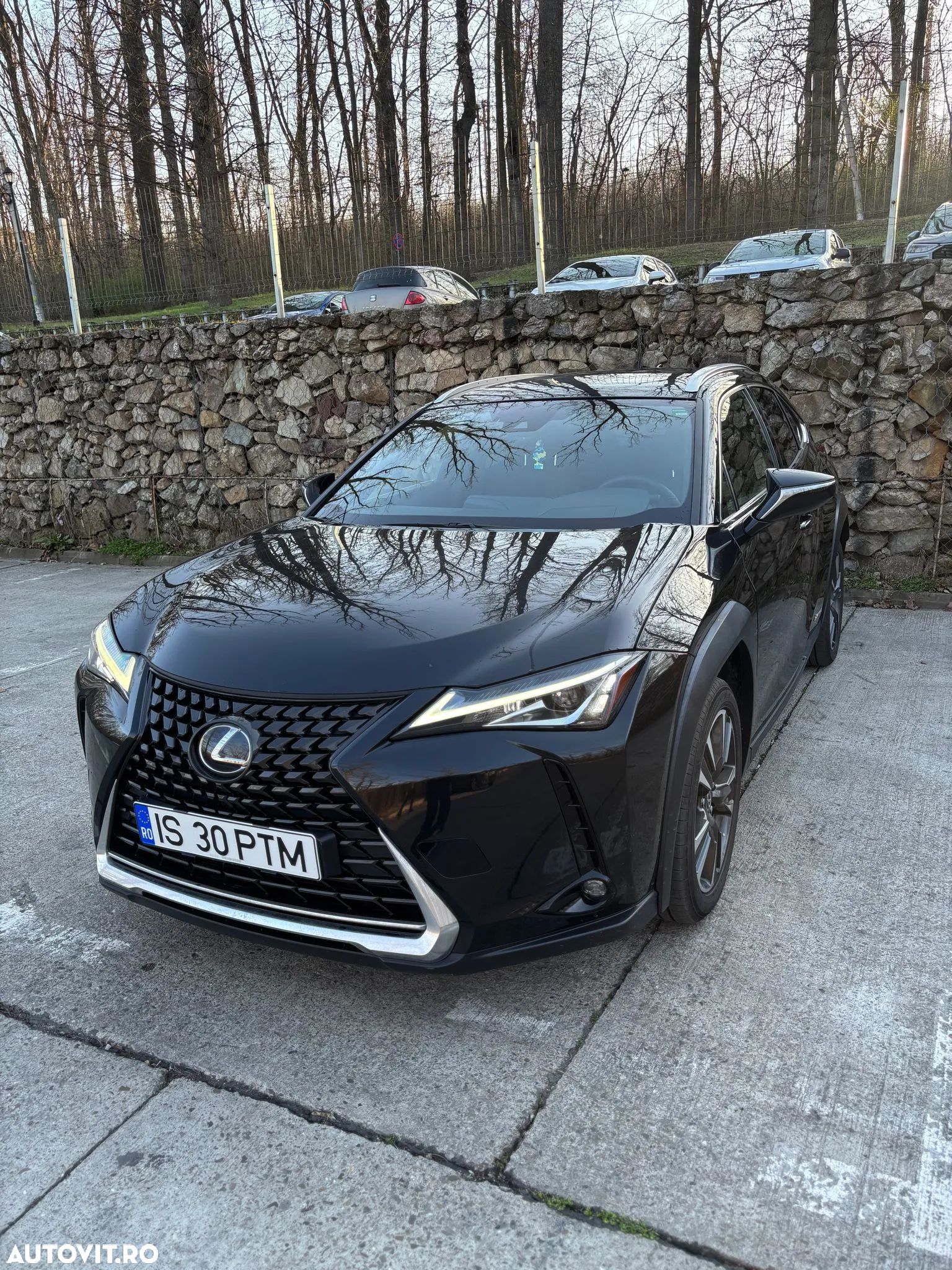 Lexus UX 250h - 1