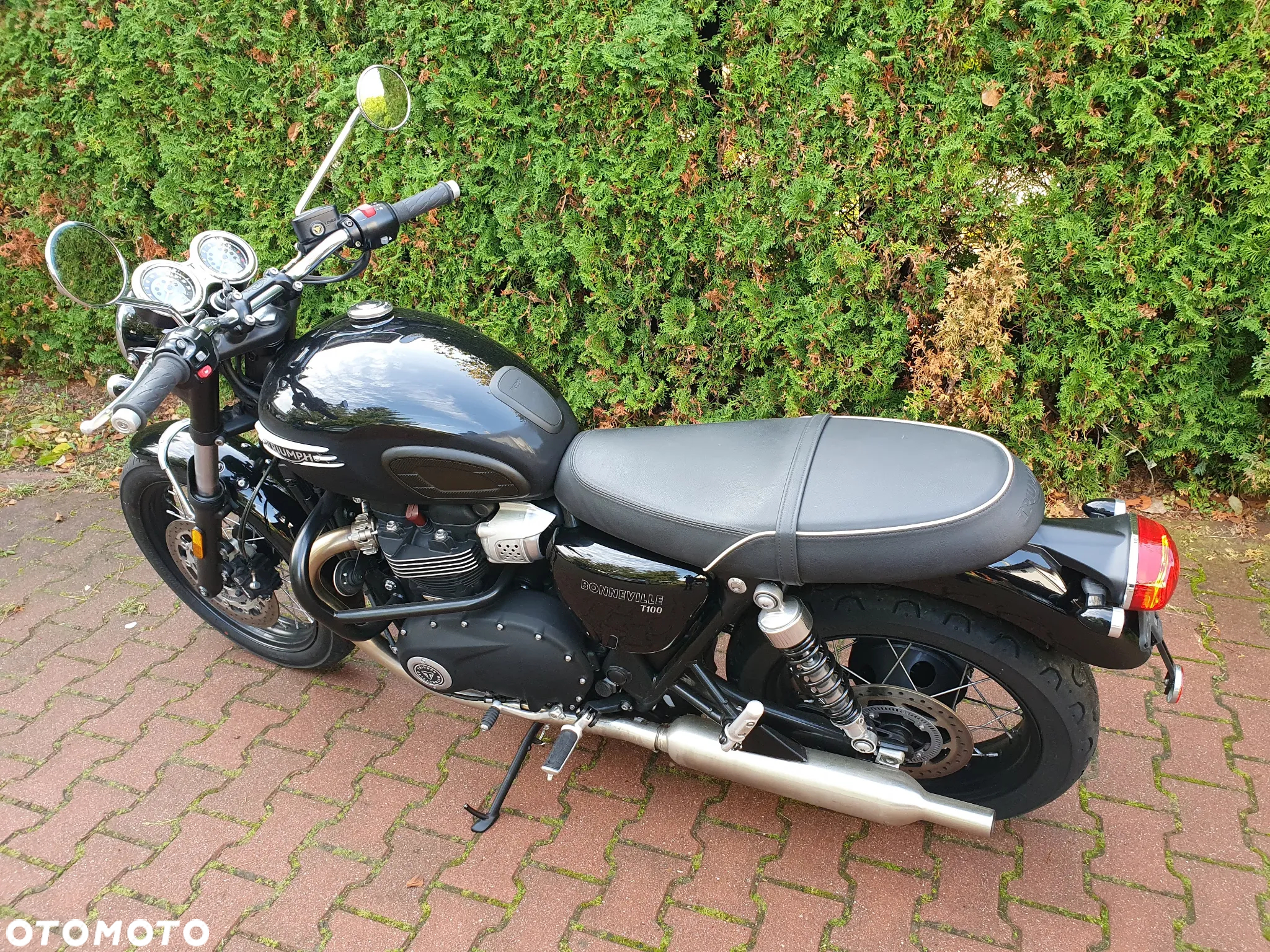 Triumph Bonneville - 16