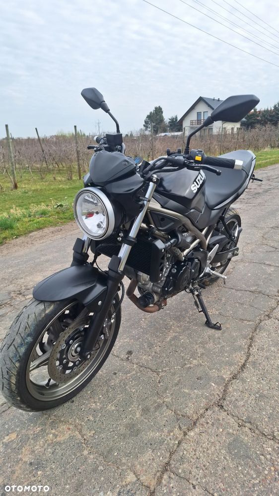 Suzuki SV - 8