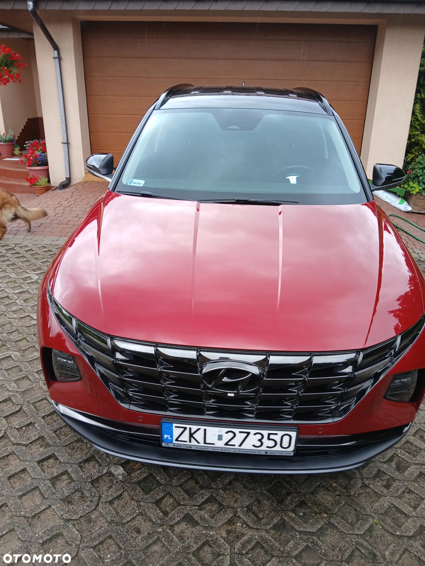 Hyundai Tucson 1.6 T-GDi HEV Platinum 2WD - 5