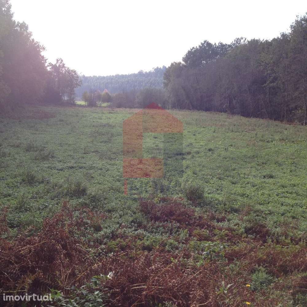 Terreno agrícola, Arcozelo - Grande imagem: 4/7