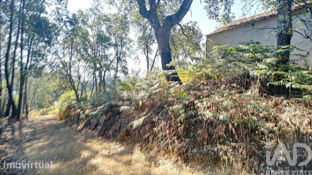 Casa de Campo em Pedrógão Grande de 91,00 m2 - Grande imagem: 2/12