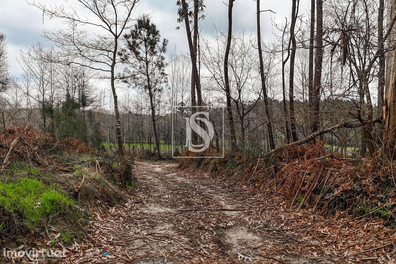 Terreno Rústico  Venda em Associação de freguesias do Vale do Neiva,Po - Grande imagem: 2/20